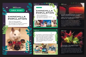 Оформление постов для THEWORLDECOLOGY (инстаграм)