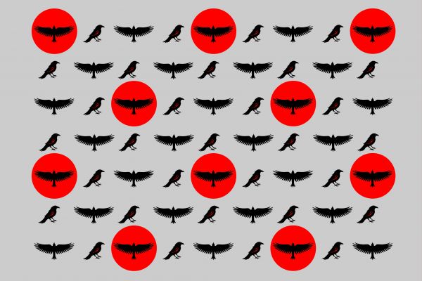 Паттерны "Ворон"