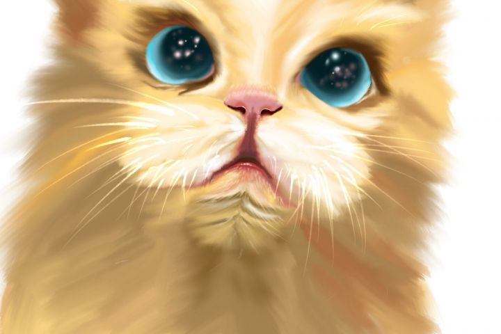 Портреты и стикеры - 5537194