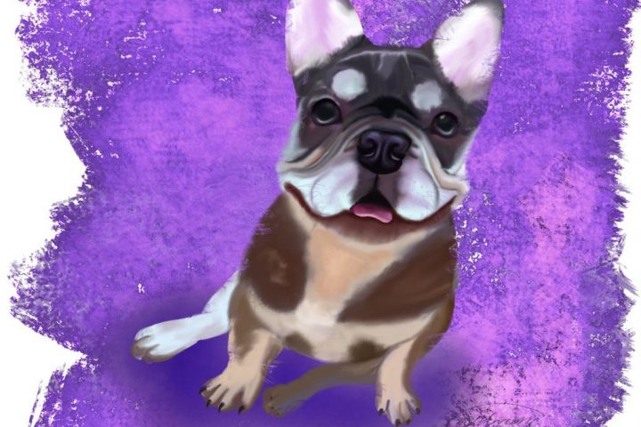 Портреты и стикеры - 5537201