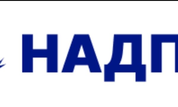 Screenshot_20250830_155641_com_yandex_browser_YandexBrowserMainA