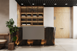 Разработка дизайна интерьера вестибюля ЛФК