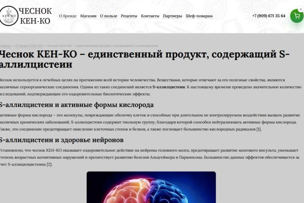 облож.PNG