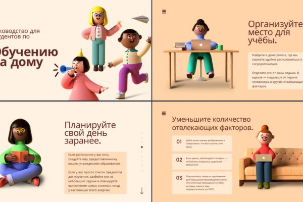 Презентация по руководству для обучения студентов на дому