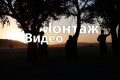 Монтаж видеороликов