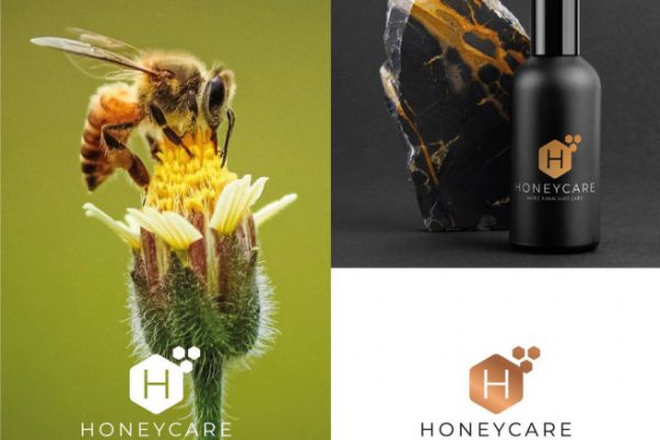 Разработка уникального логотипа для вашего бизнеса