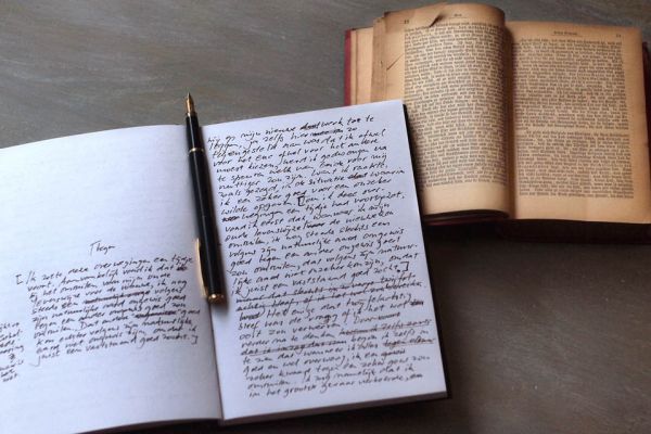 Переводы EN-RU: Отрывок из книги «21 день с Брацо»