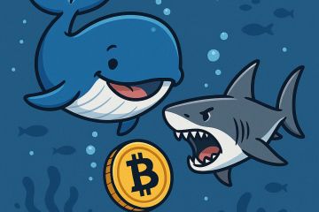 Ciello. Ищем и торгуем вместе с кошельками крипто  китов и акул.