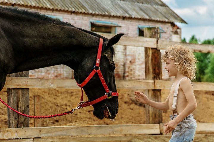 Онлайн курс по обработке фото в Лайтруме - 5541209