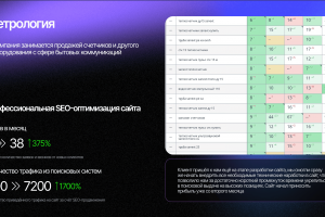 SEO-продвижение сайта Метрология