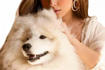 Портрет по фото в стиле масло