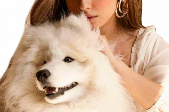 Портрет по фото в стиле масло - 5541833