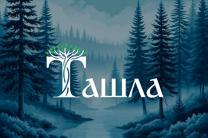 Вложение 