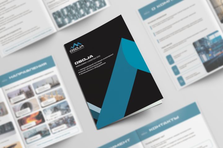 Дизайн презентации для печати/полиграфии - 5543813