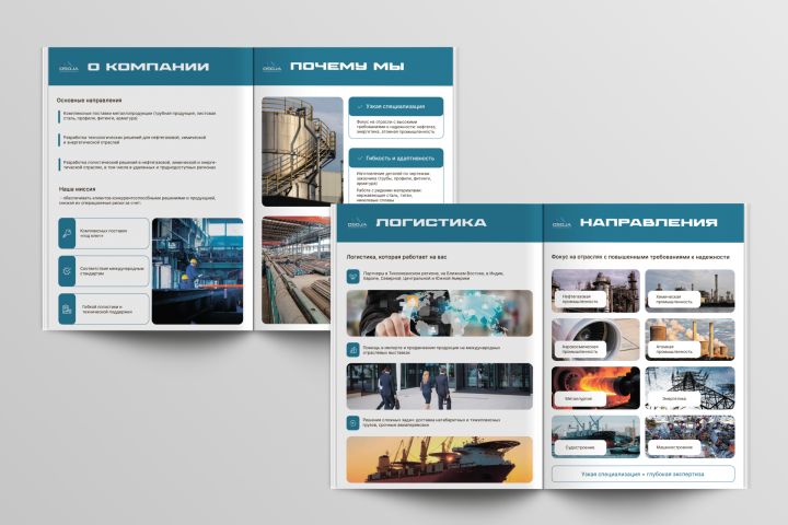 Дизайн презентации для печати/полиграфии - 5543814