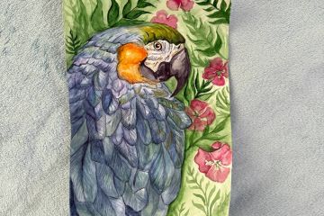 Картина с вашим любимым питомцем