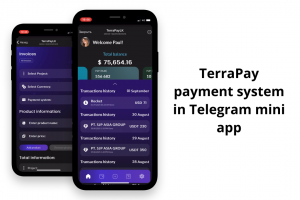 Личный кабинет платёжной системы TerraPay в Telegram mini app