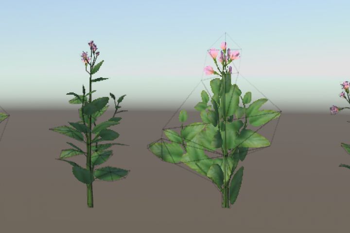 Изготовление моделей растений для компьютерных игр - 5545906