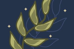 Frame 336