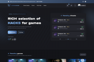 DarkSoft - интернет магазин по продаже игрового ПО, реализована CRM + система каталогов и способы разных оплат