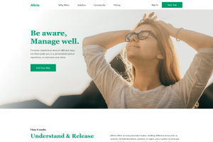 Сайт в портфолио