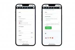 Форма заявки для бронирования трансфера на 4-х языках (WordPress-плагин)