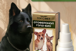 Карточка товара для OZON