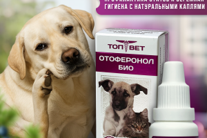 Карточка товара ТОП-ВЕТ для OZON