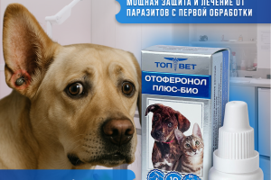 Карточка товара для OZON "Плюс-Био"