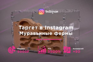 Таргет в Instagram для муравьиных ферм