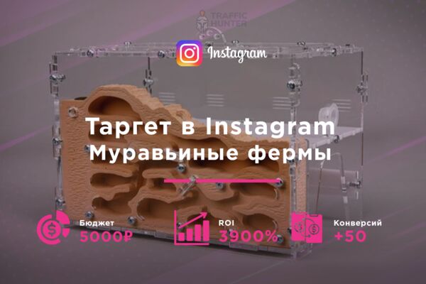 Instagram Муравьиные фермы.png