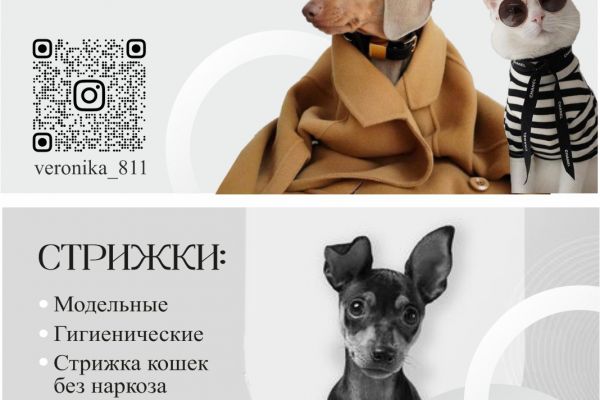 Визитки для грумеров