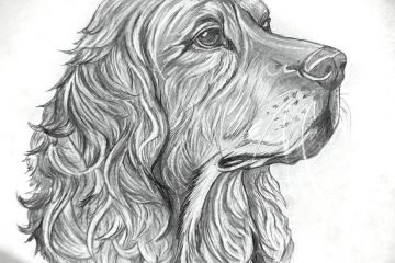 Картина с вашим любимым питомцем