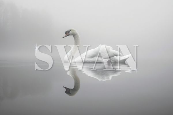 Разработка логотипа компании