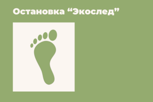 Разработка дизайна и концепции автобусной остановки для повышения осведомленности жителей об экологической обстановке