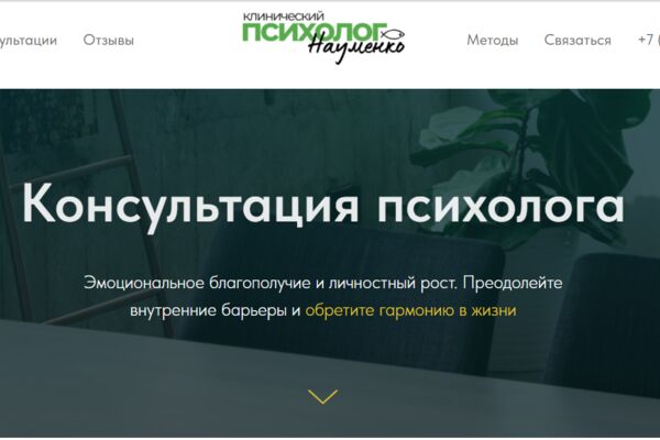 превью сайт.PNG