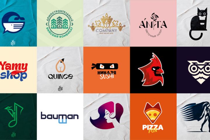 Разработка логотипа - 1 вариант - 5551789