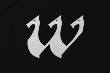 Логотип Драккар W