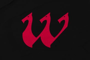 Логотип Драккар W