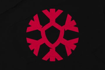 Логотип для охраны или it