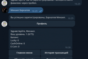 Telegram-бот для денежных переводов и вознаграждений — мультивалютная финансовая платформа для цифрового маркетингового агентства