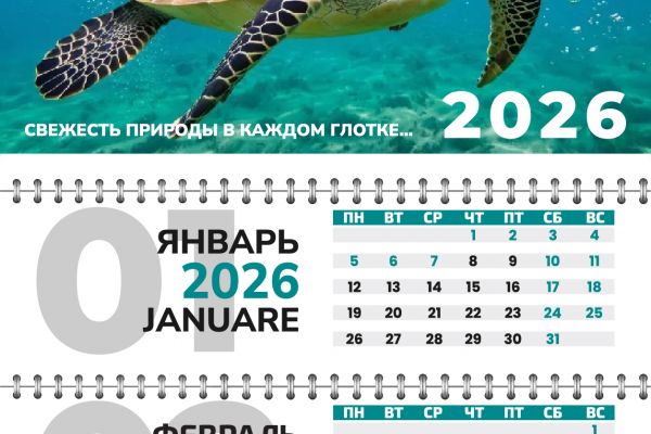 Дизайн Календаря (Широкий Карамыш)