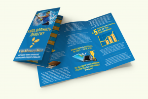 Евробуклет для частного инвестиционного проекта VipMoneyBet