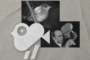 Логотип для видеопродакшена