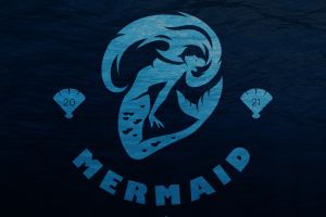 ДЛЯ ИНСТЫ С ЛОГОТИПОМ СНИЗУ2