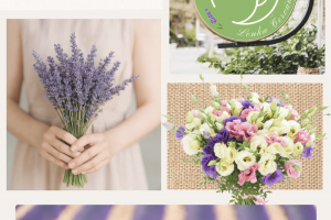 Moodboard для магазина цветов