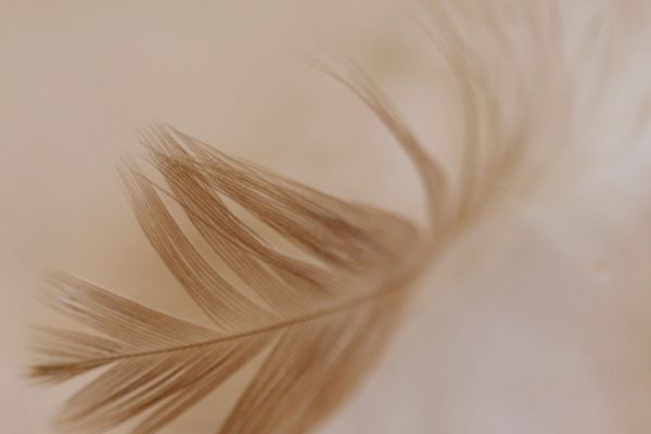 Оформление историй