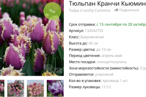 Описание карточек товаров для сайта "Остров цветов", 1000 карточек товаров.