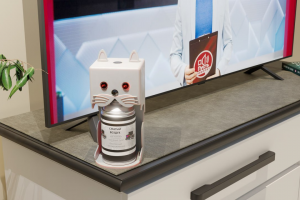 Создание модели для карточек товаров WB