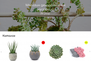 Разработка дизайна сайта магазина декоративных растений